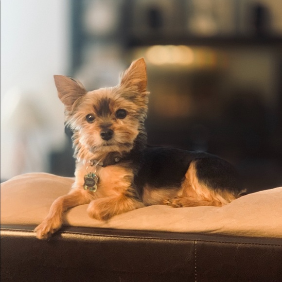 Meet your Posher, Jay - Picture 1 of 1